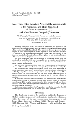 Innervation of the Receptors Present at the Various Joints of the Pereiopods and Third Maxilliped of Homarus Gammarus (L.) and Other Macruran Decapods (Crustacea)