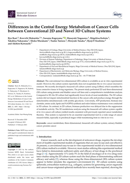 Differences in the Central Energy Metabolism of Cancer Cells Between Conventional 2D and Novel 3D Culture Systems