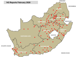 143 Reports February 2020 Internal Parasites – Roundworms (February 2020)