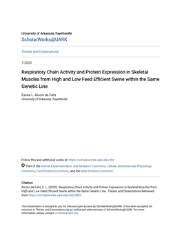 Respiratory Chain Activity and Protein Expression in Skeletal Muscles from High and Low Feed Efficient Swine Within the Same Genetic Line