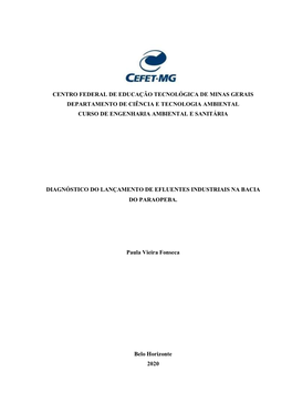 Centro Federal De Educação Tecnológica De Minas Gerais Departamento De Ciência E Tecnologia Ambiental Curso De Engenharia Ambiental E Sanitária