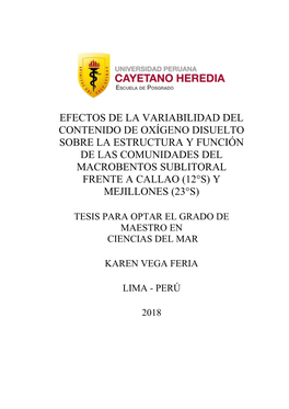 Efectos De La Variabilidad