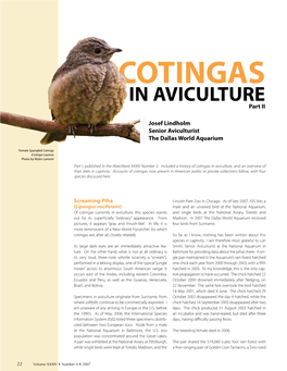 COTINGAS in AVICULTURE Part II