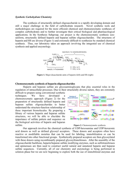 Synthetic Carbohydrate Chemistry the Synthesis of Structurally Defined