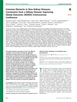 Conclusions from a Kidney Disease: Improving Global Outcomes