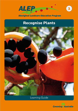 RECOGNISE PLANTS 3 – Pressing and Storing Plants