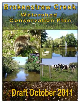 Brokenstraw Creek WCP DRAFT PLAN.Pdf