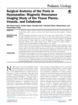 Surgical Anatomy of the Penis in Hypospadias