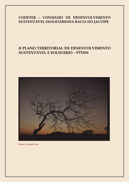 Ii Plano Territorial De Desenvolvimento Sustentável E Solidário – Ptdss