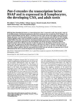 Pax-5 Encodes the Transcription Factor BSAP and Is Expressed in B Lymphocytes, the Developing CNS, and Adult Testis