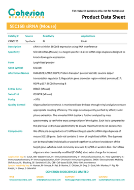 SEC16B Sirna (Mouse)