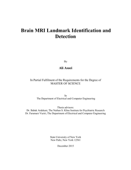 Brain MRI Landmark Identification and Detection