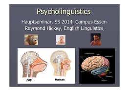 Psycholinguistics?