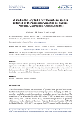 A Snail in the Long Tail: a New Plekocheilus Species Collected by the ‘Comisión Científica Del Pacífico’ (Mollusca, Gastropoda, Amphibulimidae)