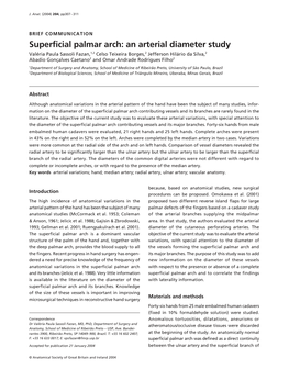 Superficial Palmar Arch: an Arterial Diameter Study