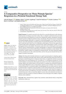 A Comparative Perspective on Three Primate Species' Responses to A