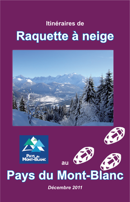 Raquette À Neige Pays Du Montblanc