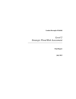 Level 2 Strategic Flood Risk Assessment ______