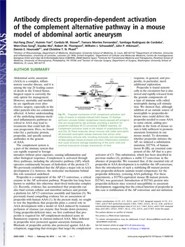 Antibody Directs Properdin-Dependent Activation of the Complement Alternative Pathway in a Mouse Model of Abdominal Aortic Aneurysm