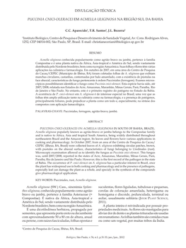 Puccinia Cnici-Oleracei Em Acmella Uliginosa Na Região Sul Da Bahia