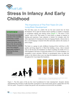 Stress in Infancy and Early Childhood