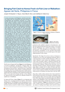 Bringing Fish Catch.Pdf (369.8Kb)