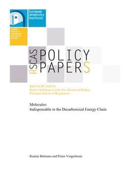 RSCAS PP 2020 01 Molecules: Indispensable in the Decarbonized