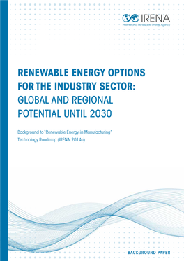 Renewable Energy Options for the Industry Sector: Global and Regional Potential Until 2030