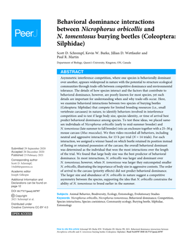 Behavioral Dominance Interactions Between Nicrophorus Orbicollis and N