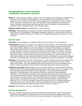 Citrus Greening ‘Candidatus Liberibacter Asiaticus’