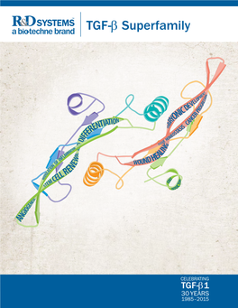 TGF-Β Superfamily Proteins Has Several Distinguishing Features That Make Them the Most Reputable in the Industry