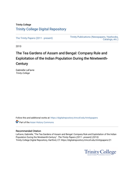 The Tea Gardens of Assam and Bengal: Company Rule and Exploitation of the Indian Population During the Nineteenth- Century