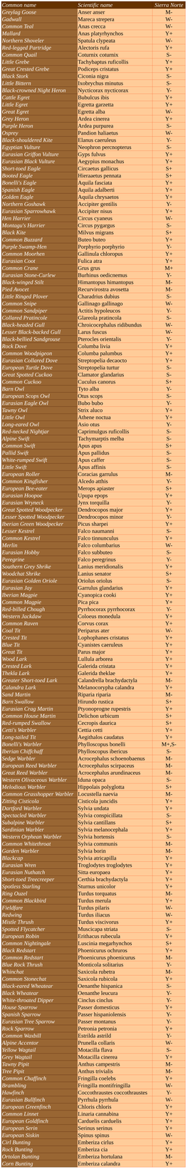 Common Name Scientific Name Sierra Norte Greylag Goose Anser