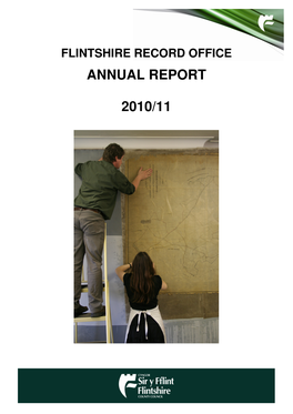 Annual Report 2010/1