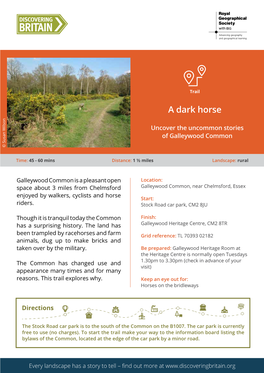 Galleywood Common Tr