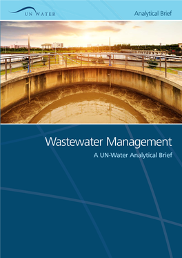 Wastewater Management a UN-Water Analytical Brief