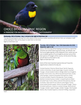 Choco Biogeographic Region a Paradise for Biodiversity and Bird Photography