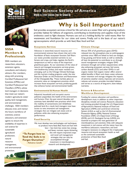 Why Is Soil Important?