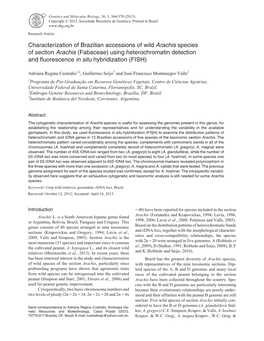 Characterization of Brazilian Accessions of Wild Arachis Species