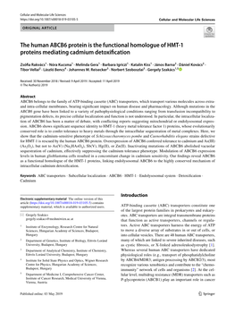 The Human ABCB6 Protein Is the Functional Homologue of HMT-1 Proteins Mediating Cadmium… a 1