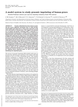 A Model System to Study Genomic Imprinting of Human Genes (Beckwith–Weidemann Syndrome͞gene Expression͞imprinting͞methylation͞prader–Willi Syndrome)