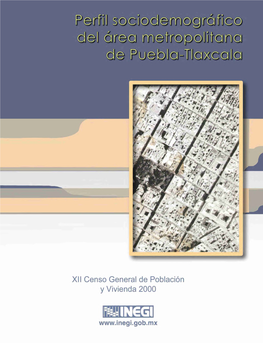 Perfil Sociodemográfico Del Área Metropolitana De Puebla-Tlaxcala