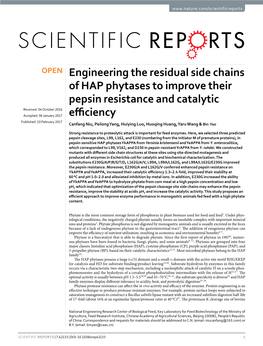 Engineering the Residual Side Chains of HAP Phytases to Improve Their