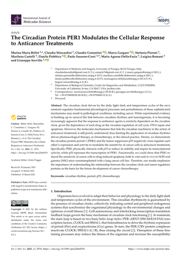 The Circadian Protein PER1 Modulates the Cellular Response to Anticancer Treatments