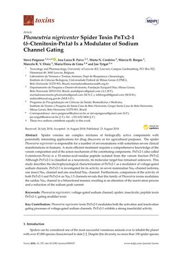 Phoneutria Nigriventer Spider Toxin Pntx2-1 (Δ-Ctenitoxin-Pn1a) Is a Modulator of Sodium Channel Gating