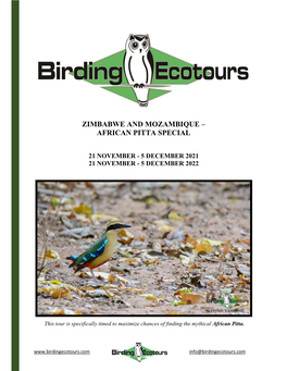 Zimbabwe and Mozambique – African Pitta Special