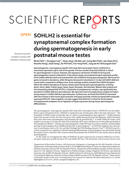 SOHLH2 Is Essential for Synaptonemal Complex Formation During Spermatogenesis in Early Postnatal Mouse Testes