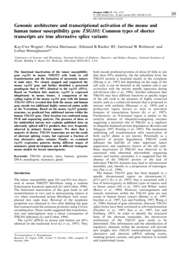 Genomic Architecture and Transcriptional Activation Of