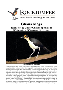 Ghana Mega Rockfowl & Upper Guinea Specials II 29Th November to 20Th December 2022 (22 Days)