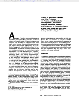 Effects of Neutrophil Elastase on Porcine Aortic Endothelial